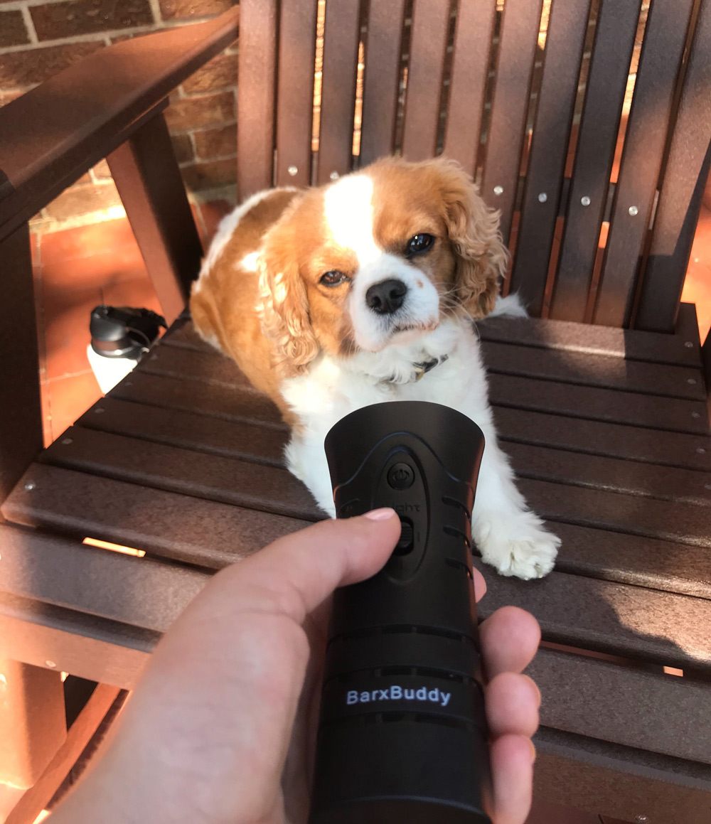 BarxBuddy